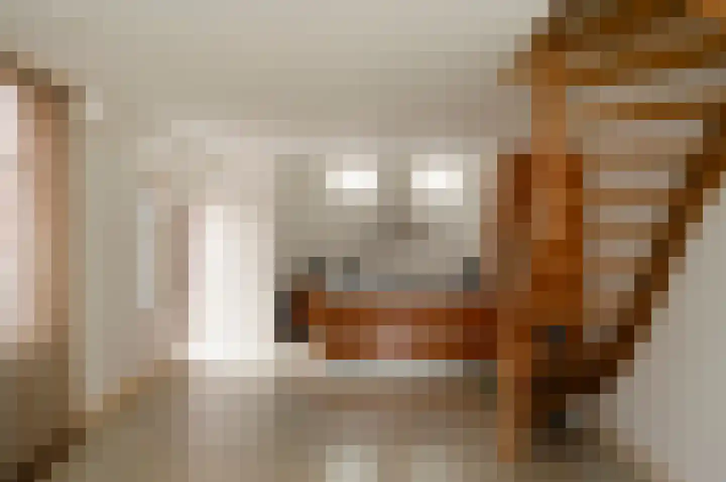 Tuinstraat 4 Alphen aan den Rijn thumbnail 8