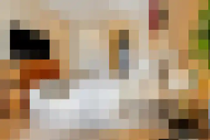 Tuinstraat 4 B Amsterdam thumbnail 23