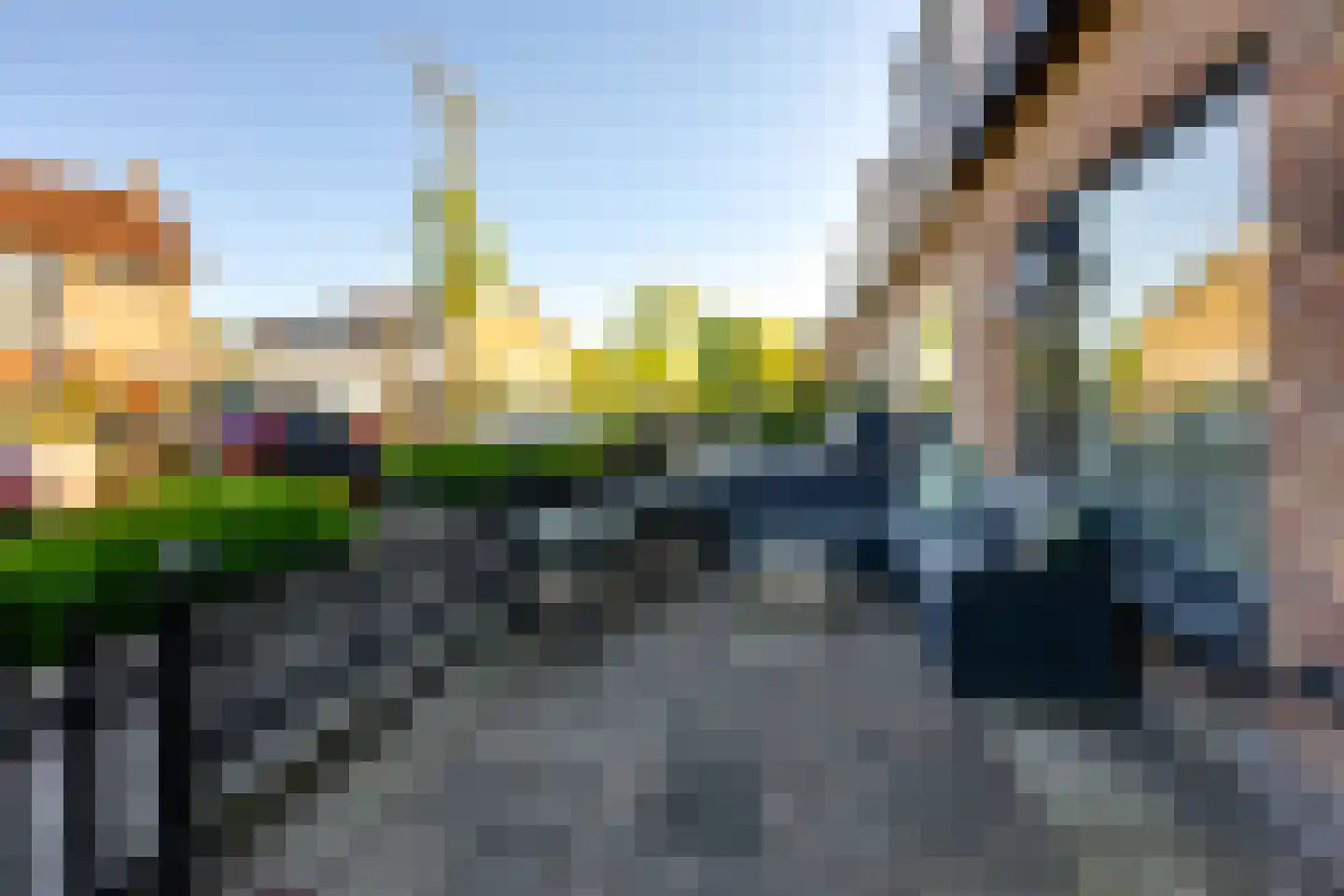 Tuinstraat 4 De Lier thumbnail 11