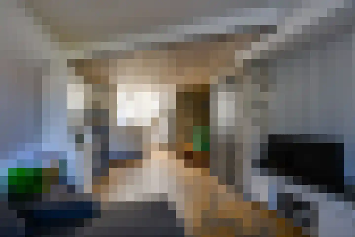 Tuinstraat 4 De Lier thumbnail 13