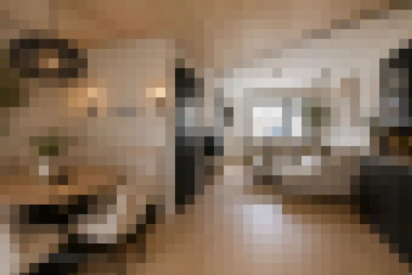 Tuinstraat 4 De Lier thumbnail 13