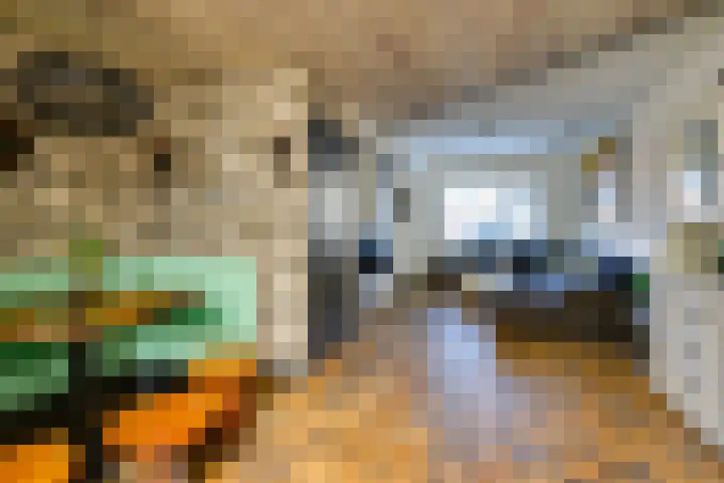 Tuinstraat 4 De Lier thumbnail 15
