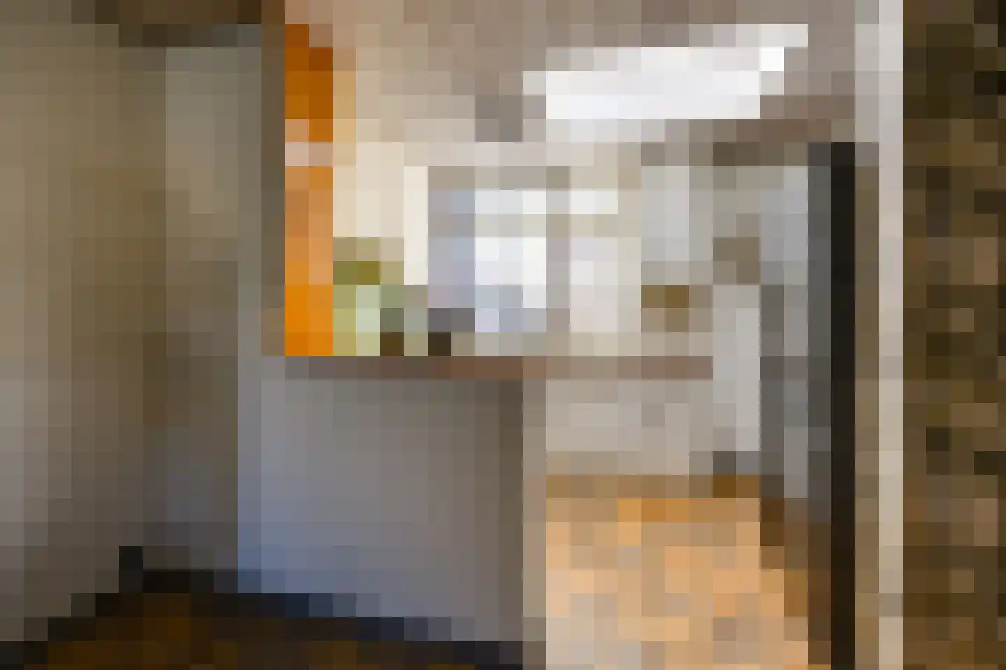 Tuinstraat 4 De Lier thumbnail 17