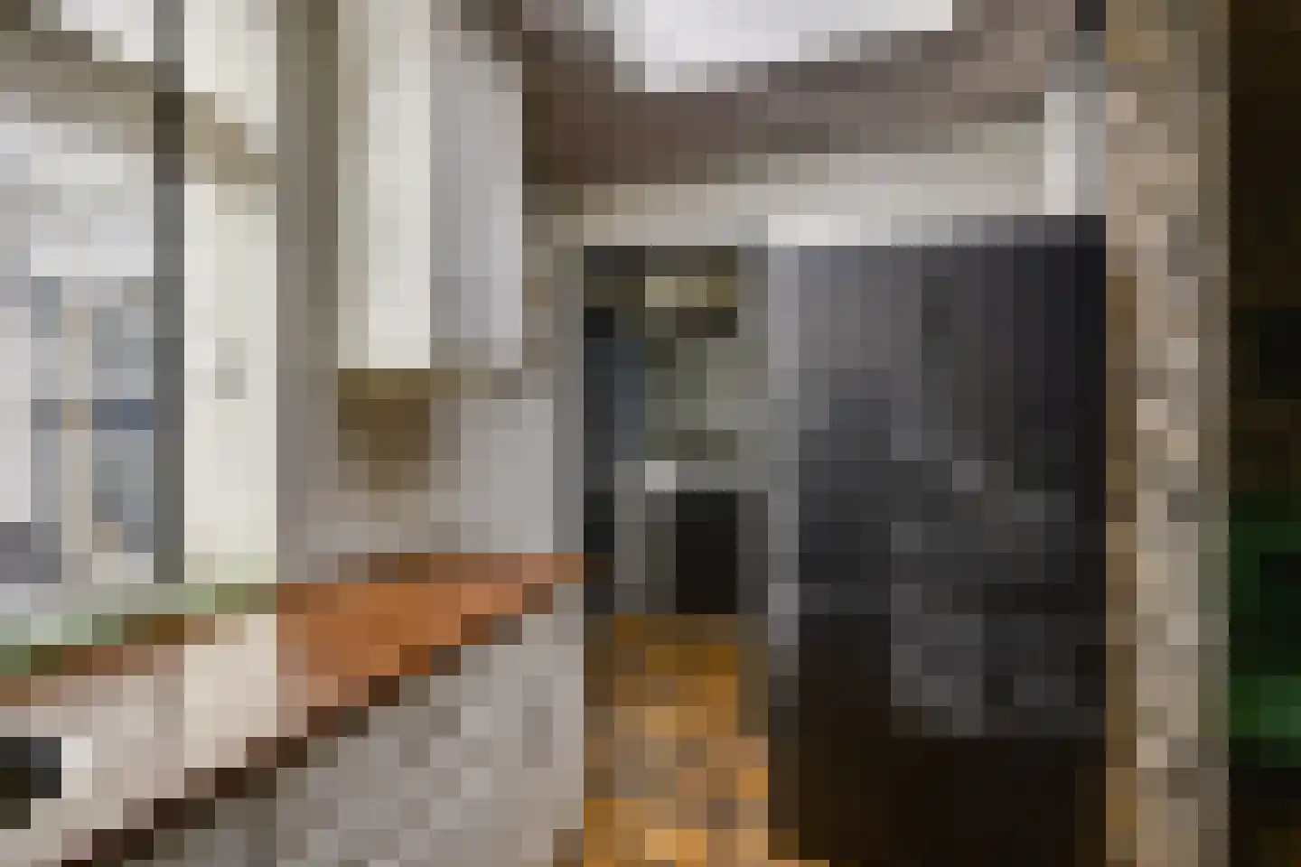 Tuinstraat 4 De Lier thumbnail 20