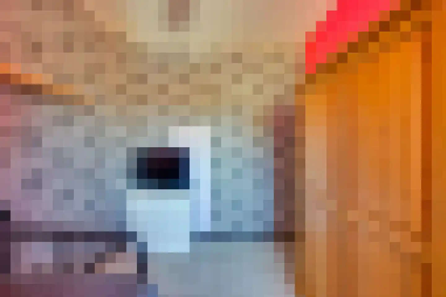 Tuinstraat 4 De Lier thumbnail 32