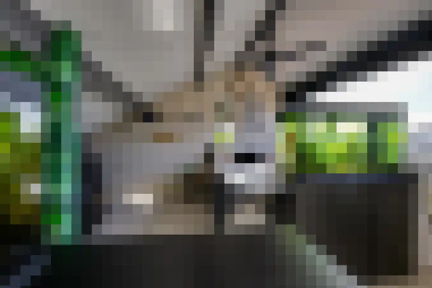 Tuinstraat 4 De Lier thumbnail 35