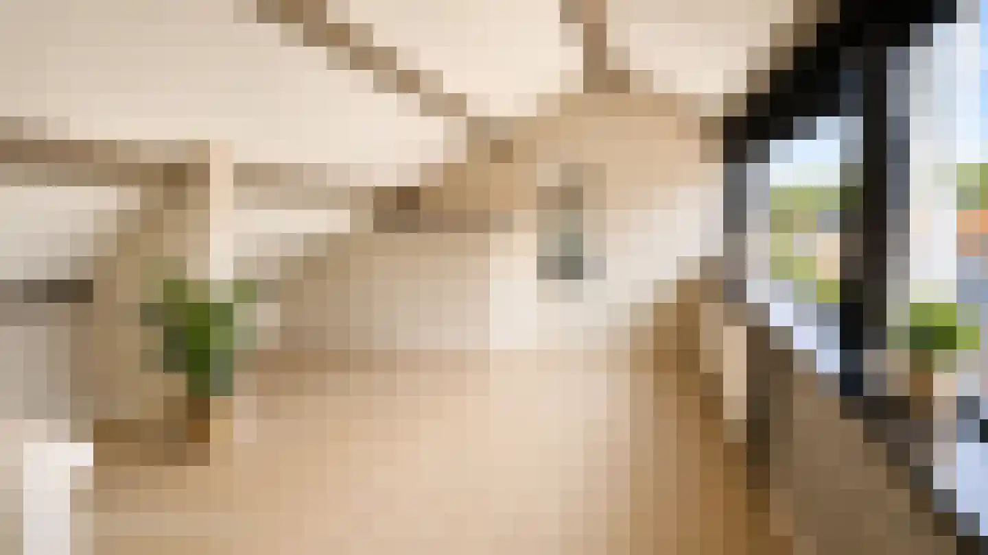 Tuinstraat 4 De Lier thumbnail 39