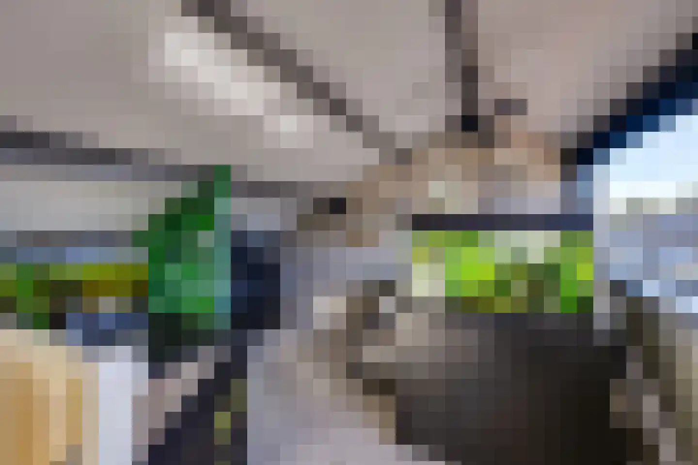 Tuinstraat 4 De Lier thumbnail 41