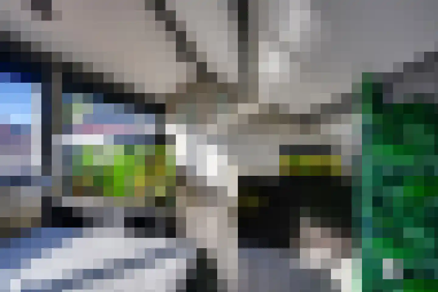 Tuinstraat 4 De Lier thumbnail 42