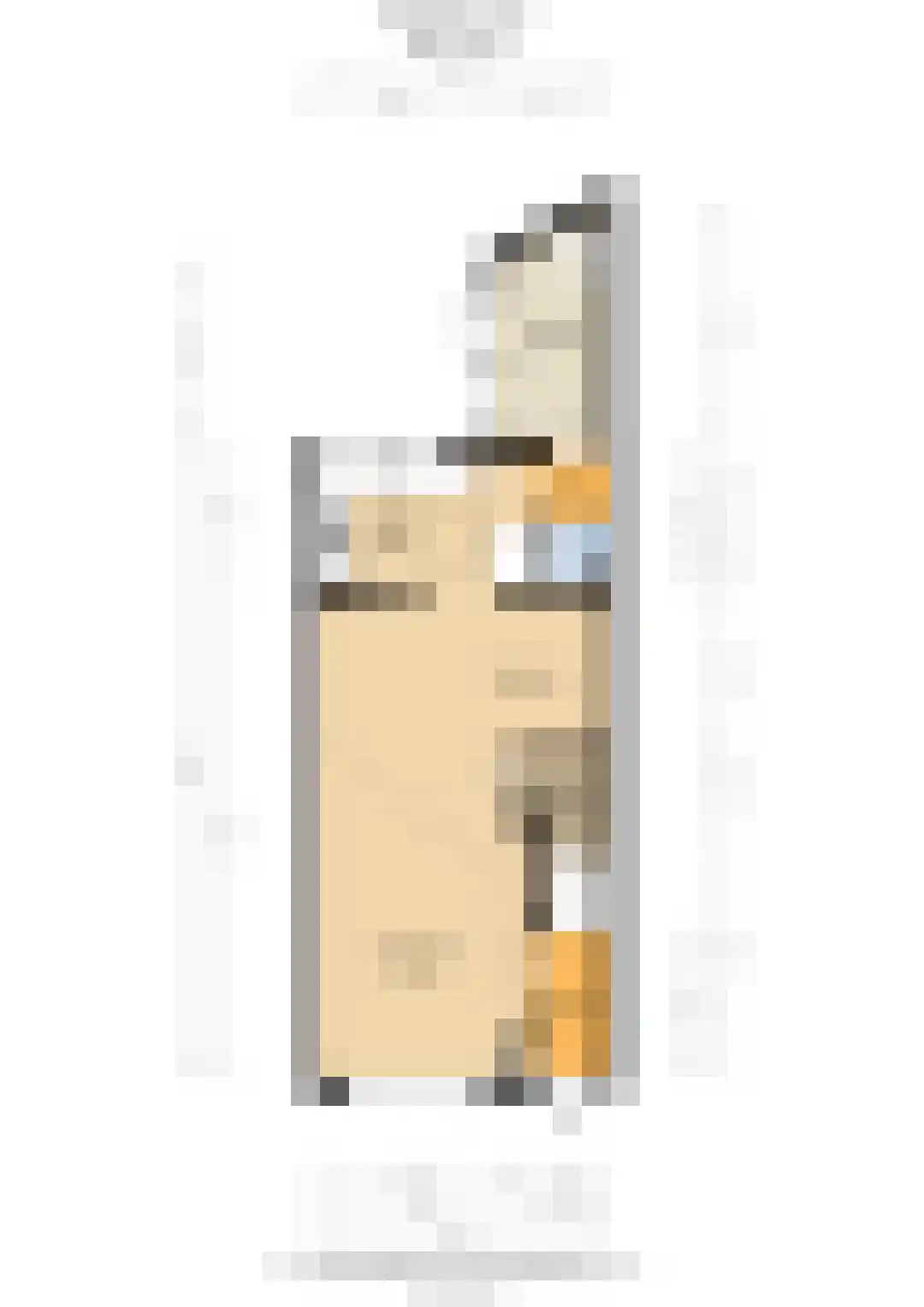 Tuinstraat 4 De Lier thumbnail 44