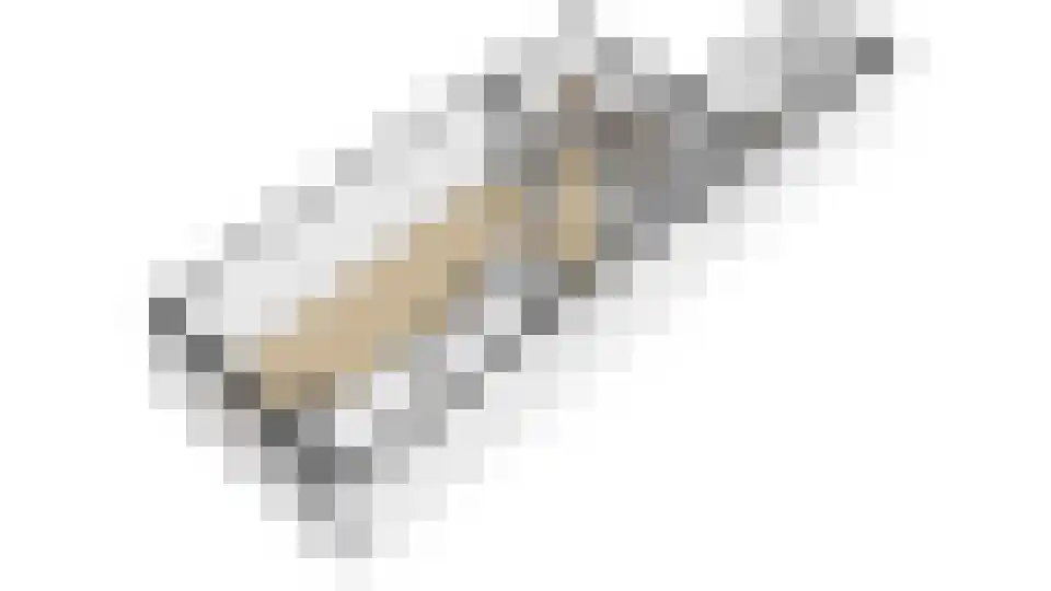 Tuinstraat 4 De Lier thumbnail 46