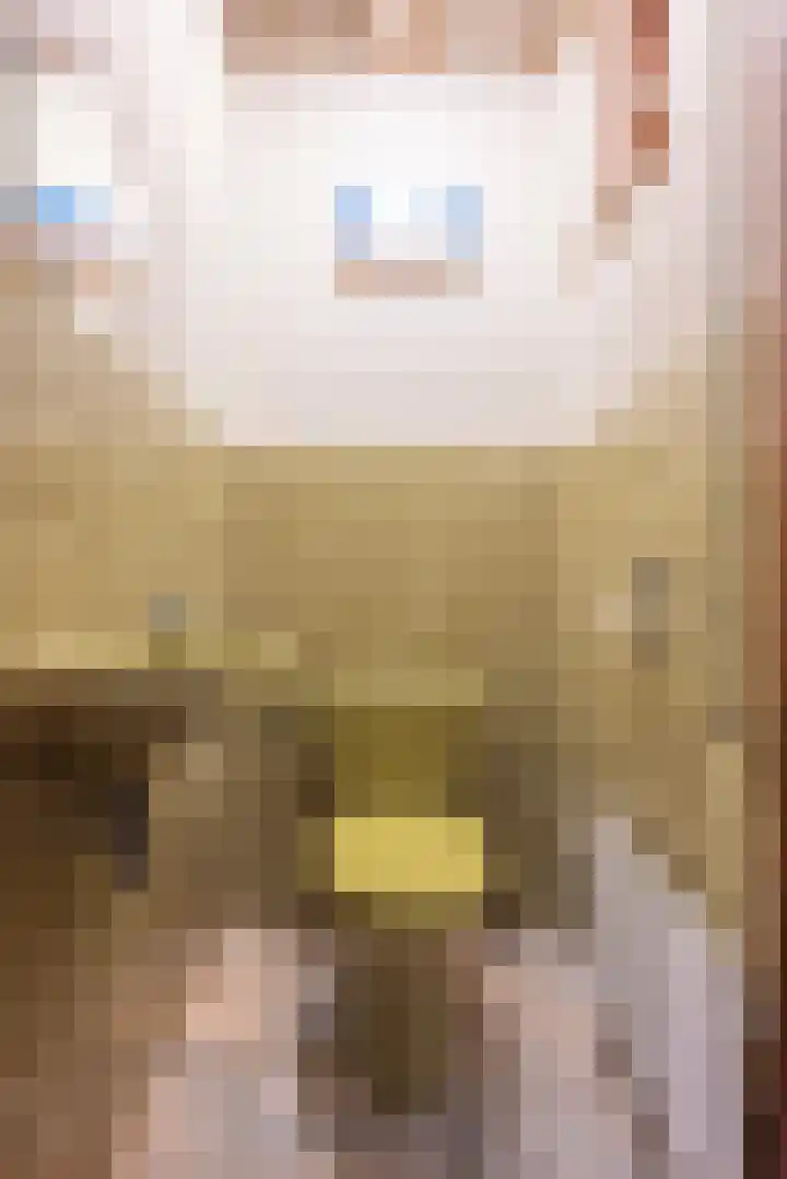 Tuinstraat 4 Kerkrade thumbnail 12