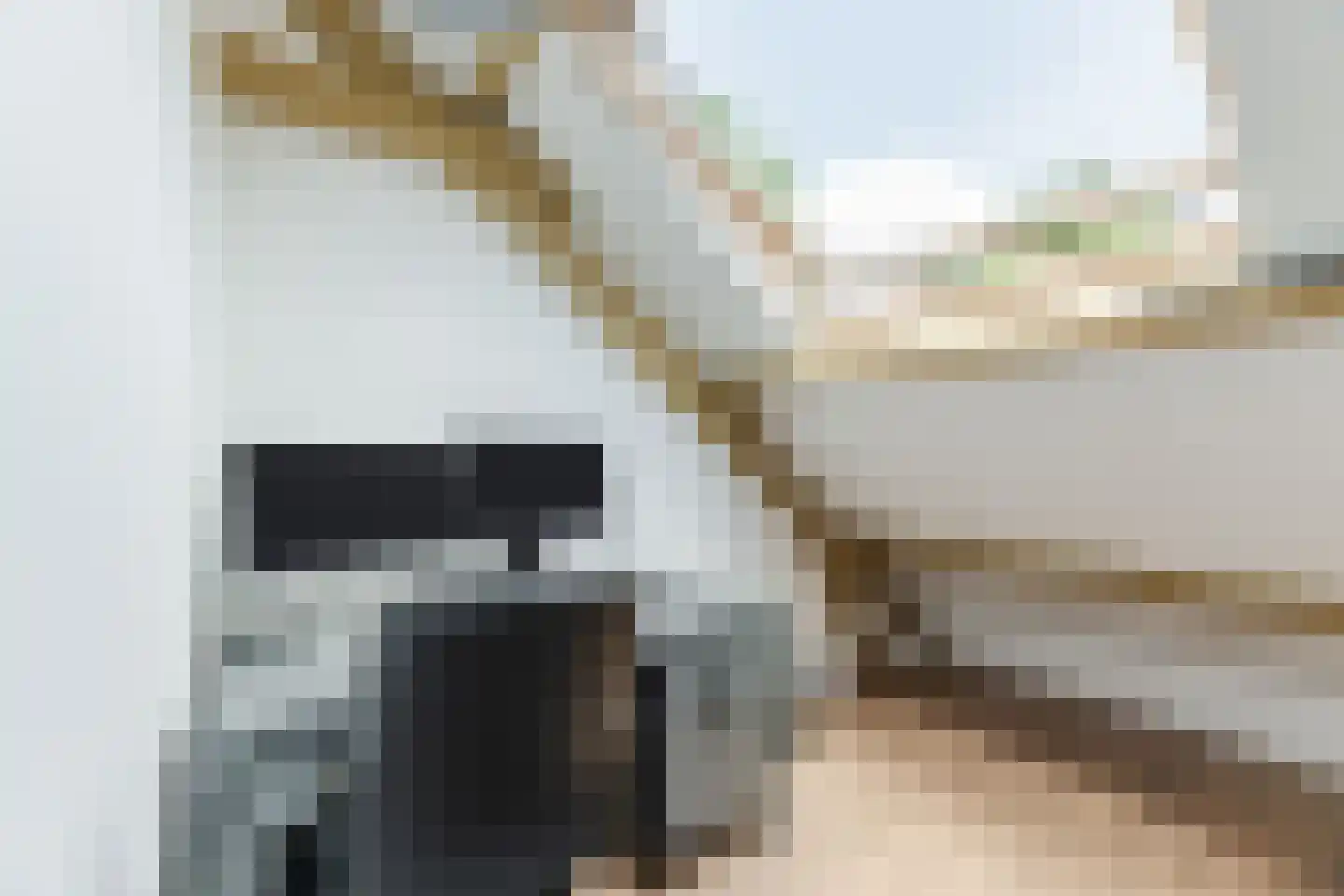Tuinstraat 4 Rijen thumbnail 54