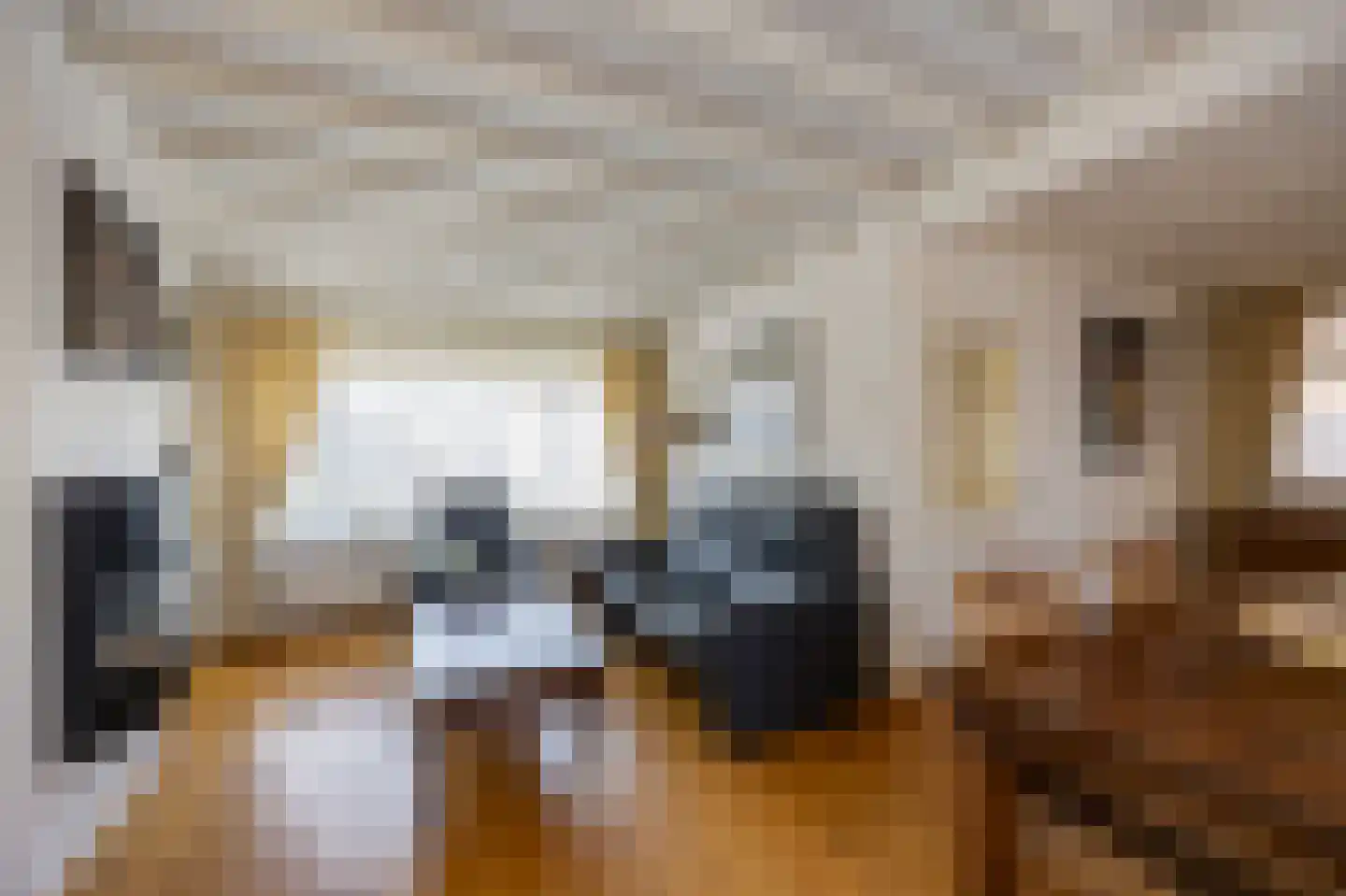 Tuinstraat 40 Echt thumbnail 15
