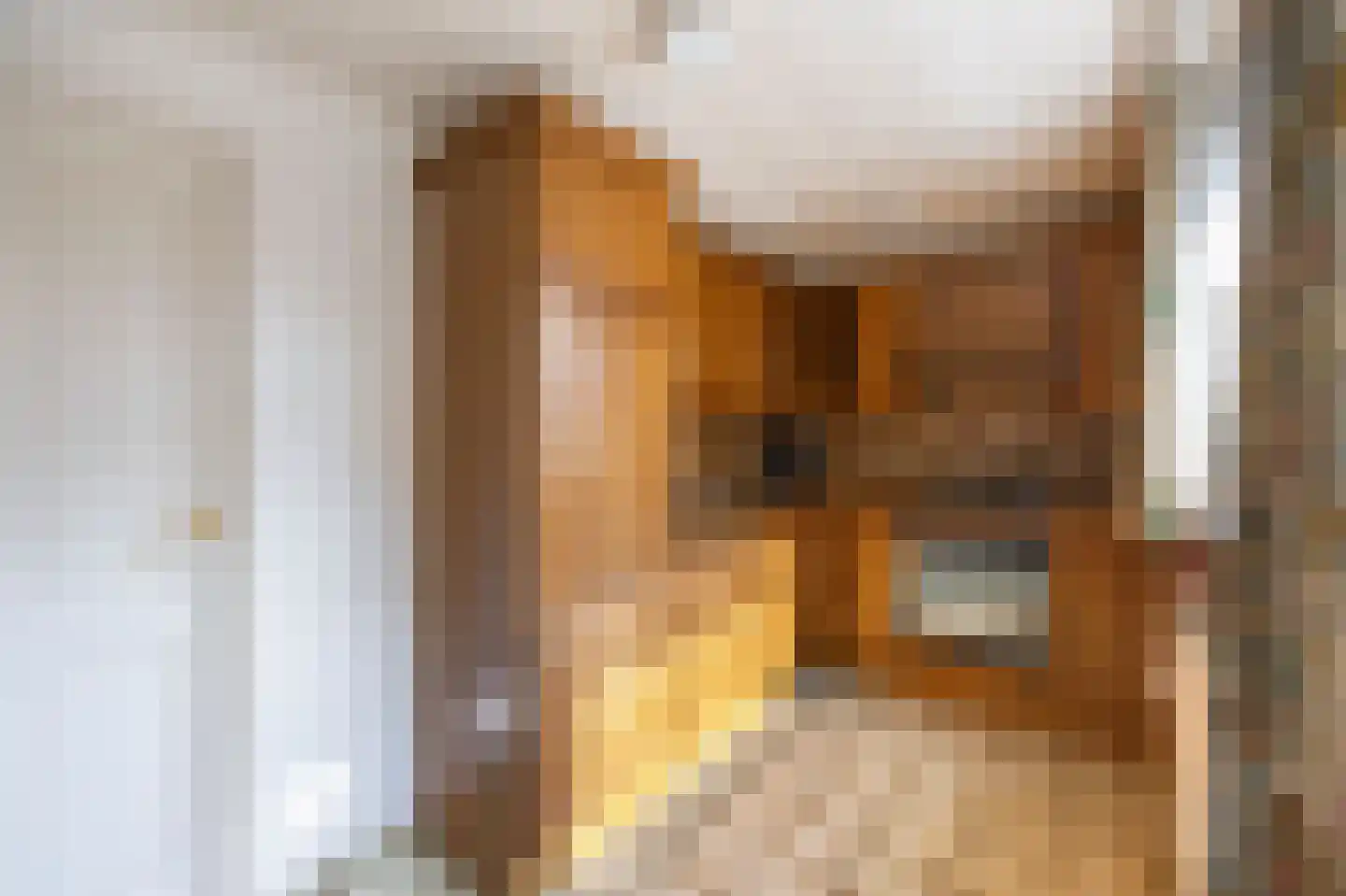 Tuinstraat 40 Echt thumbnail 17