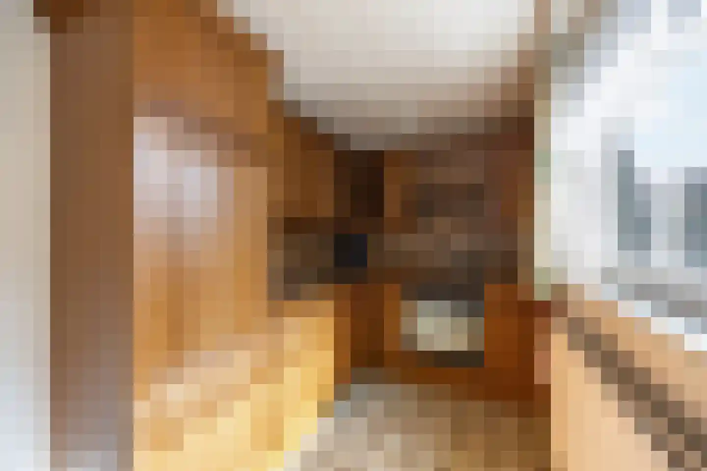 Tuinstraat 40 Echt thumbnail 19