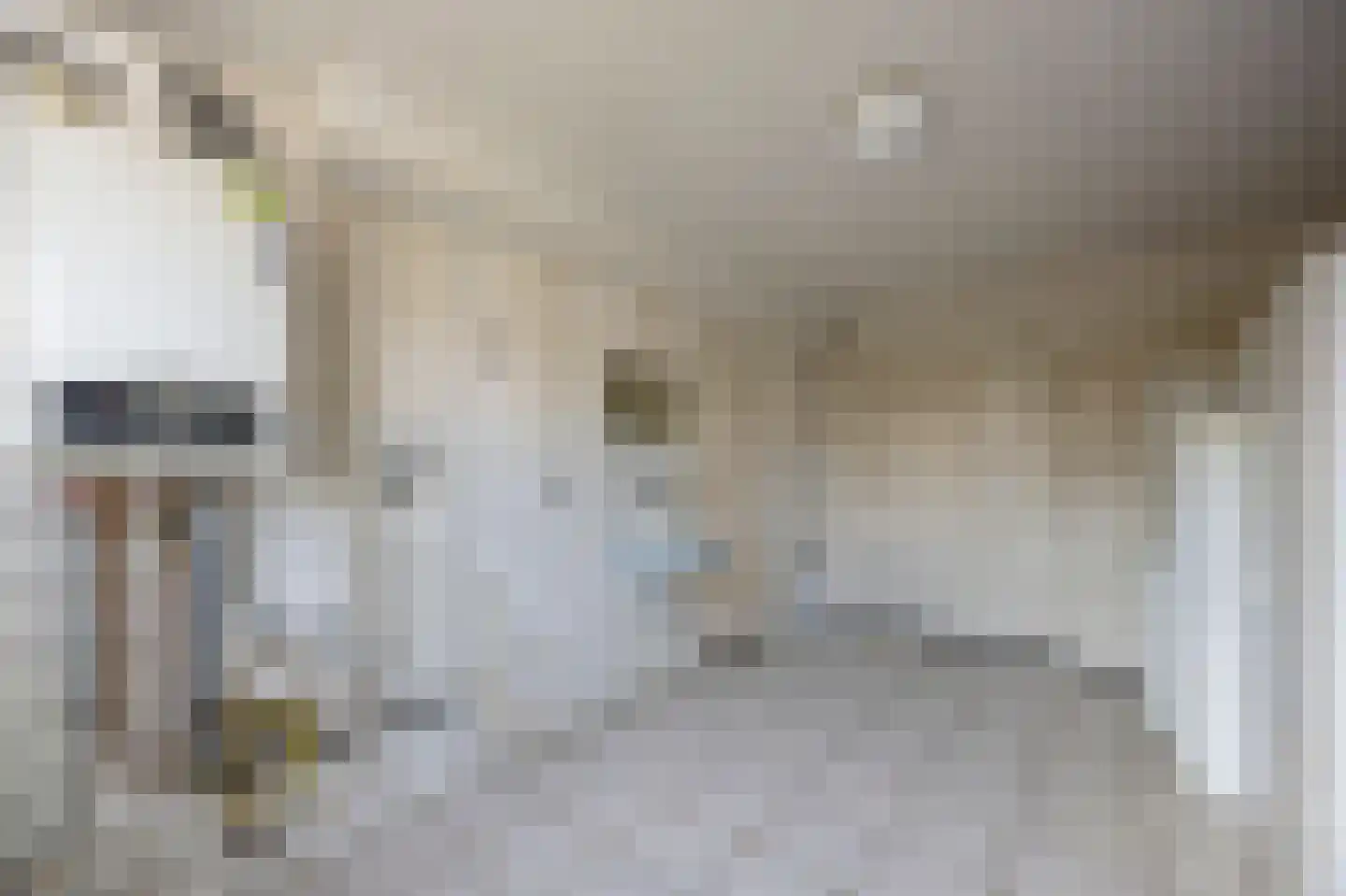Tuinstraat 40 Echt thumbnail 22