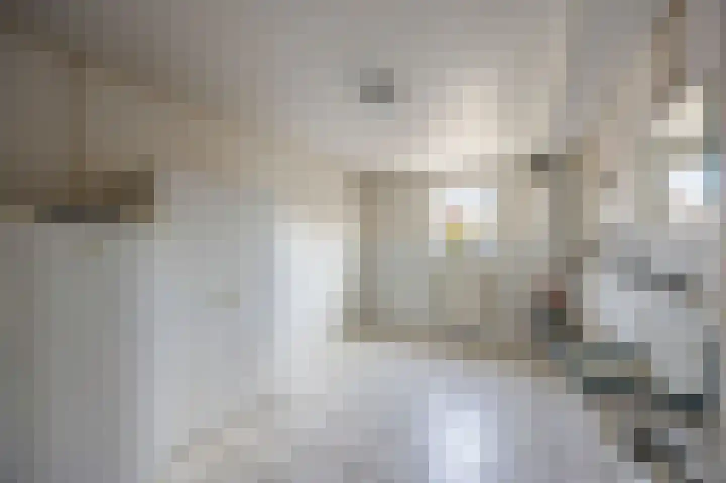 Tuinstraat 40 Echt thumbnail 23