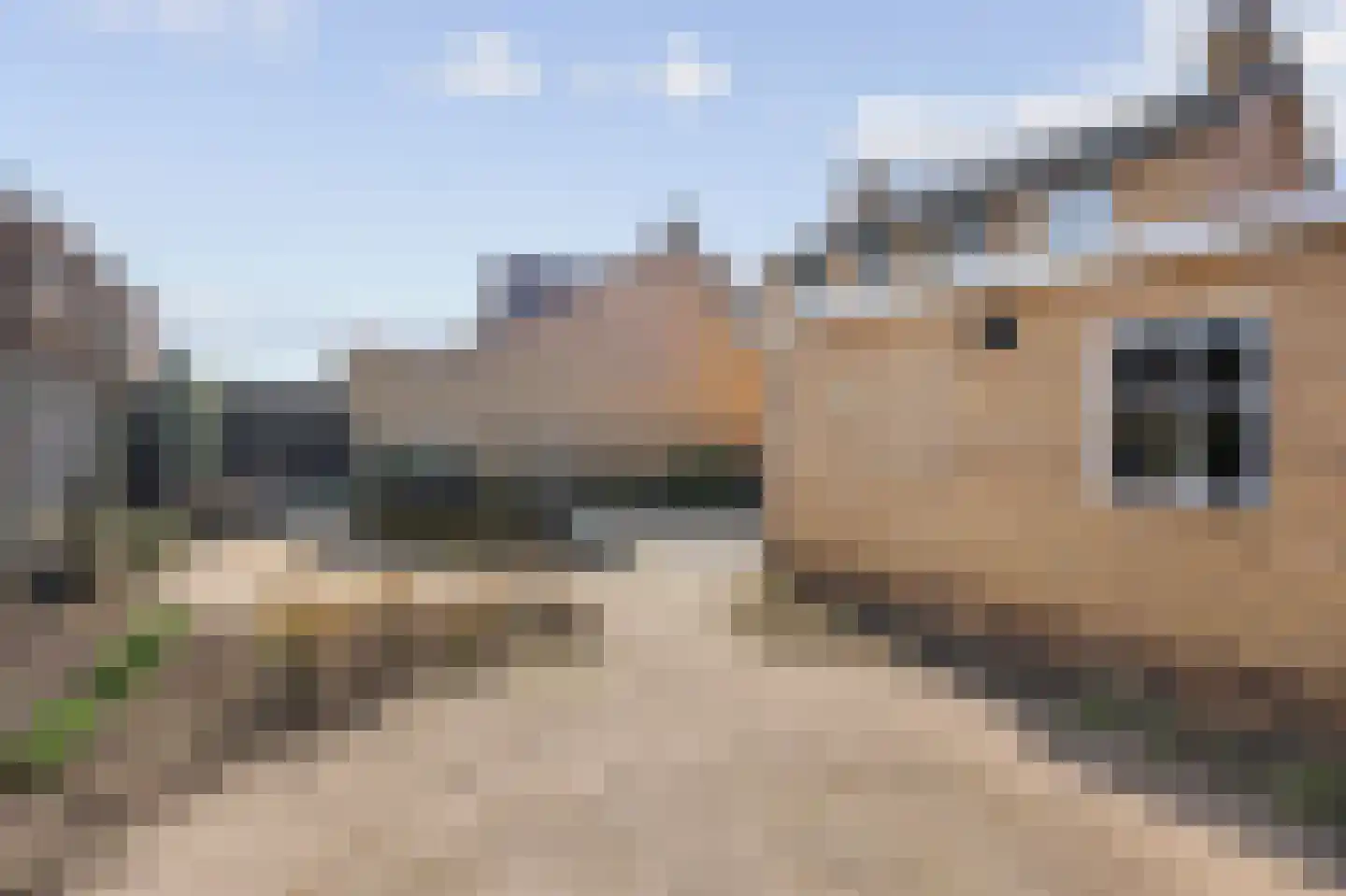 Tuinstraat 40 Echt thumbnail 38