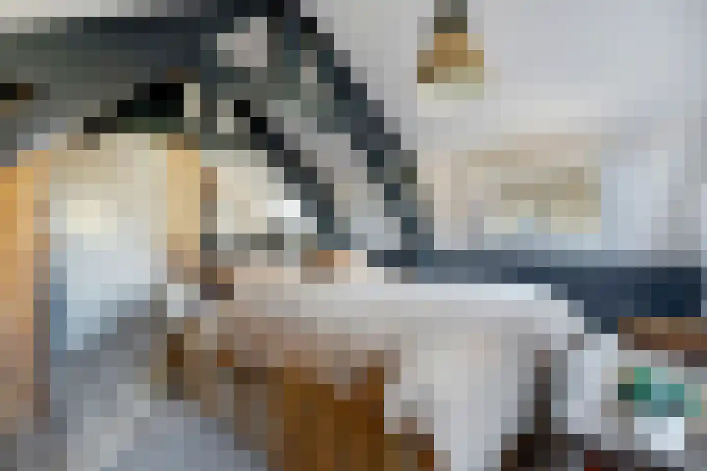 Tuinstraat 40 Rijen thumbnail 5