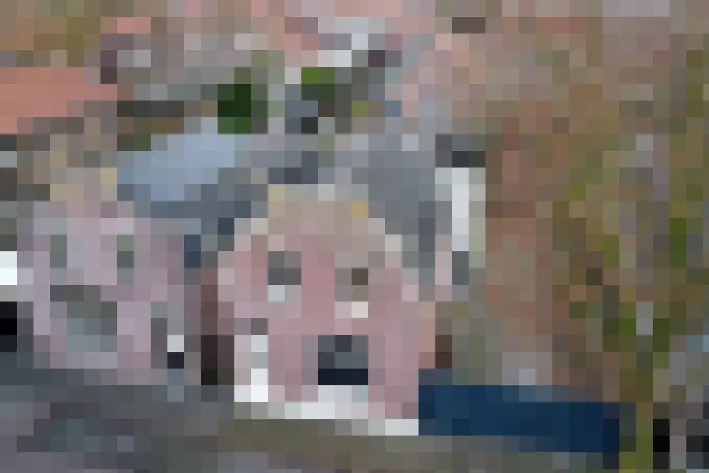 Tuinstraat 40 Rijen thumbnail 85