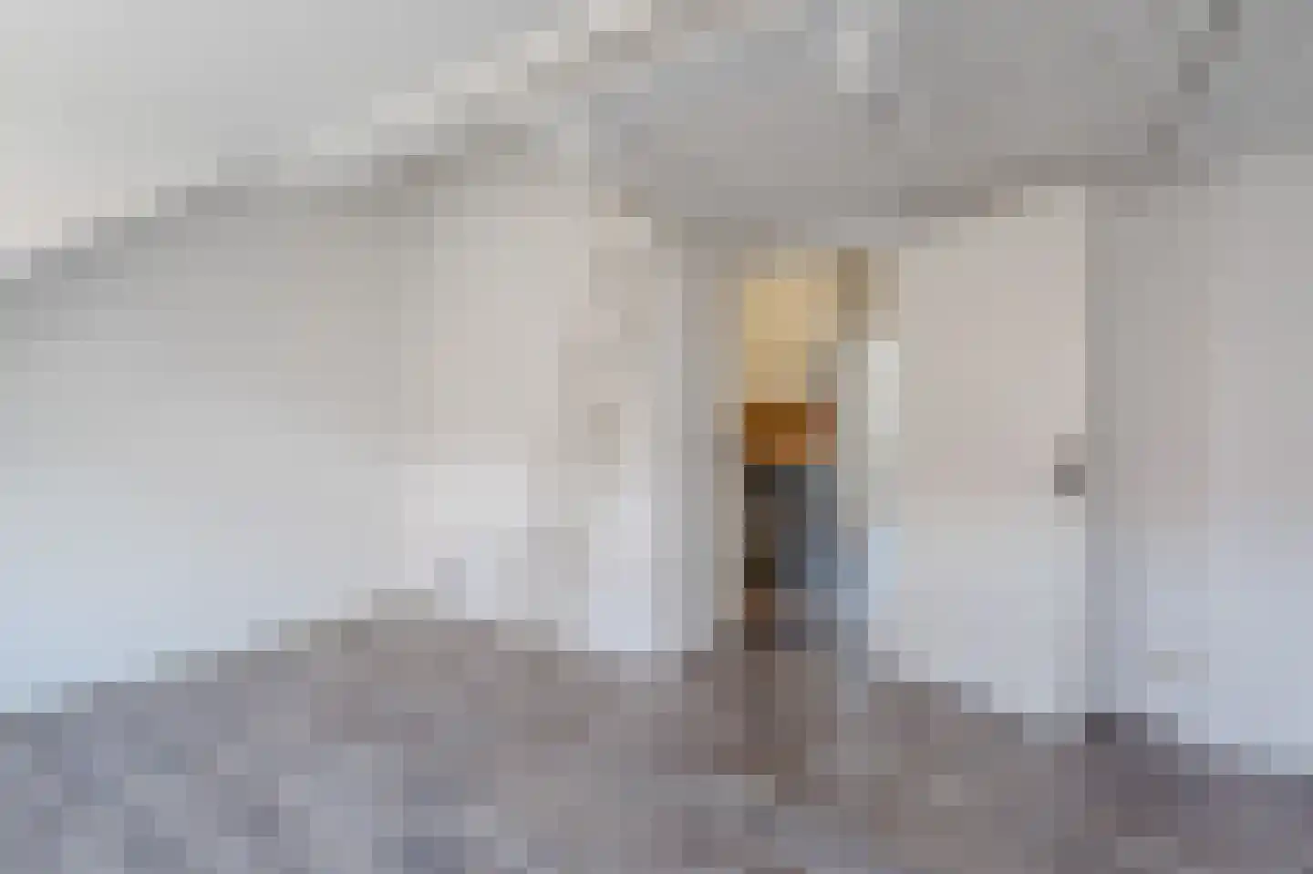 Tuinstraat 42 A Zwolle thumbnail 4