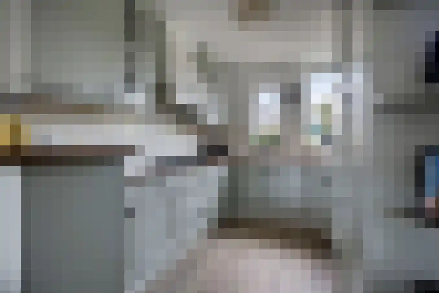Tuinstraat 43 Krimpen aan de Lek thumbnail 10