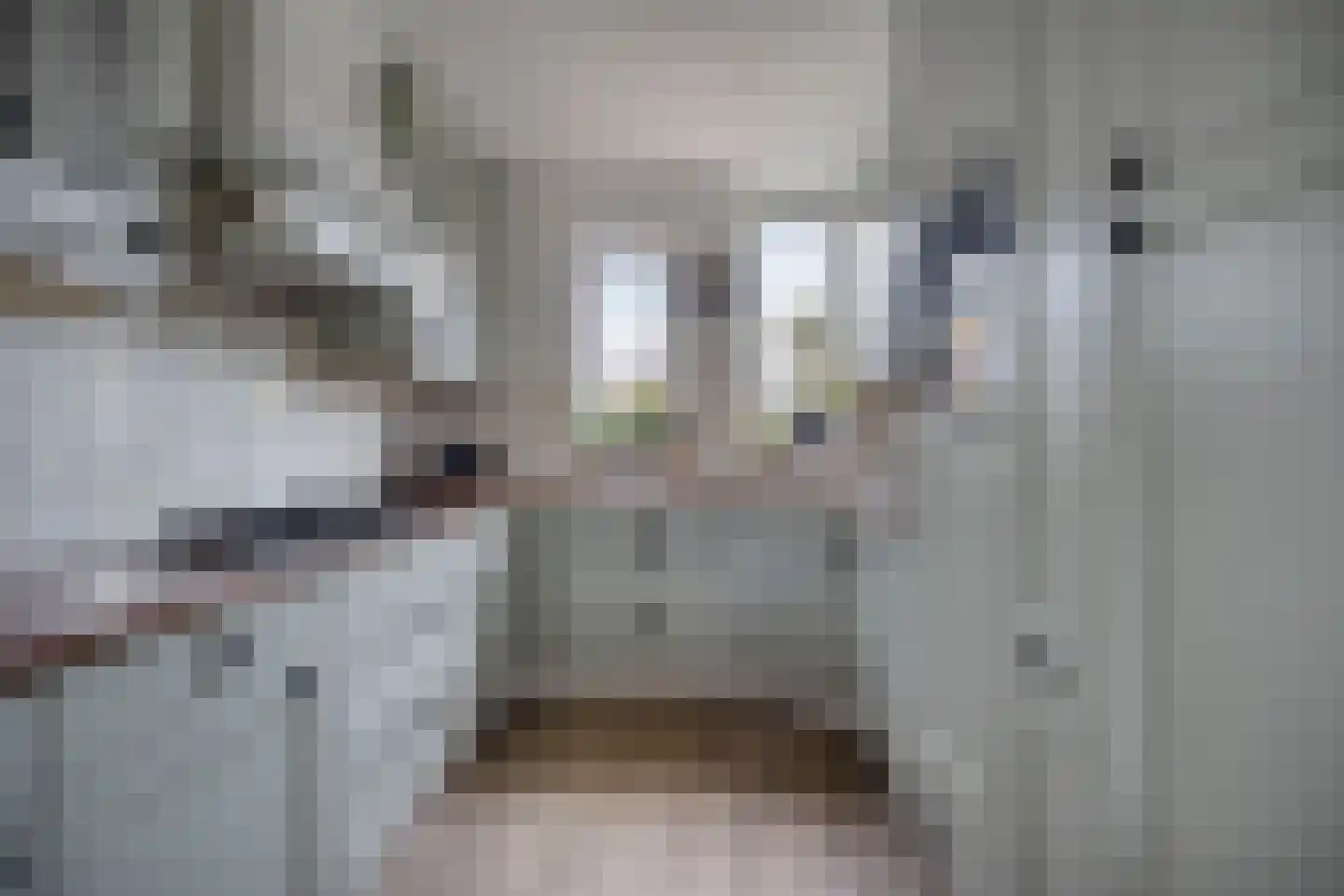 Tuinstraat 43 Krimpen aan de Lek thumbnail 11
