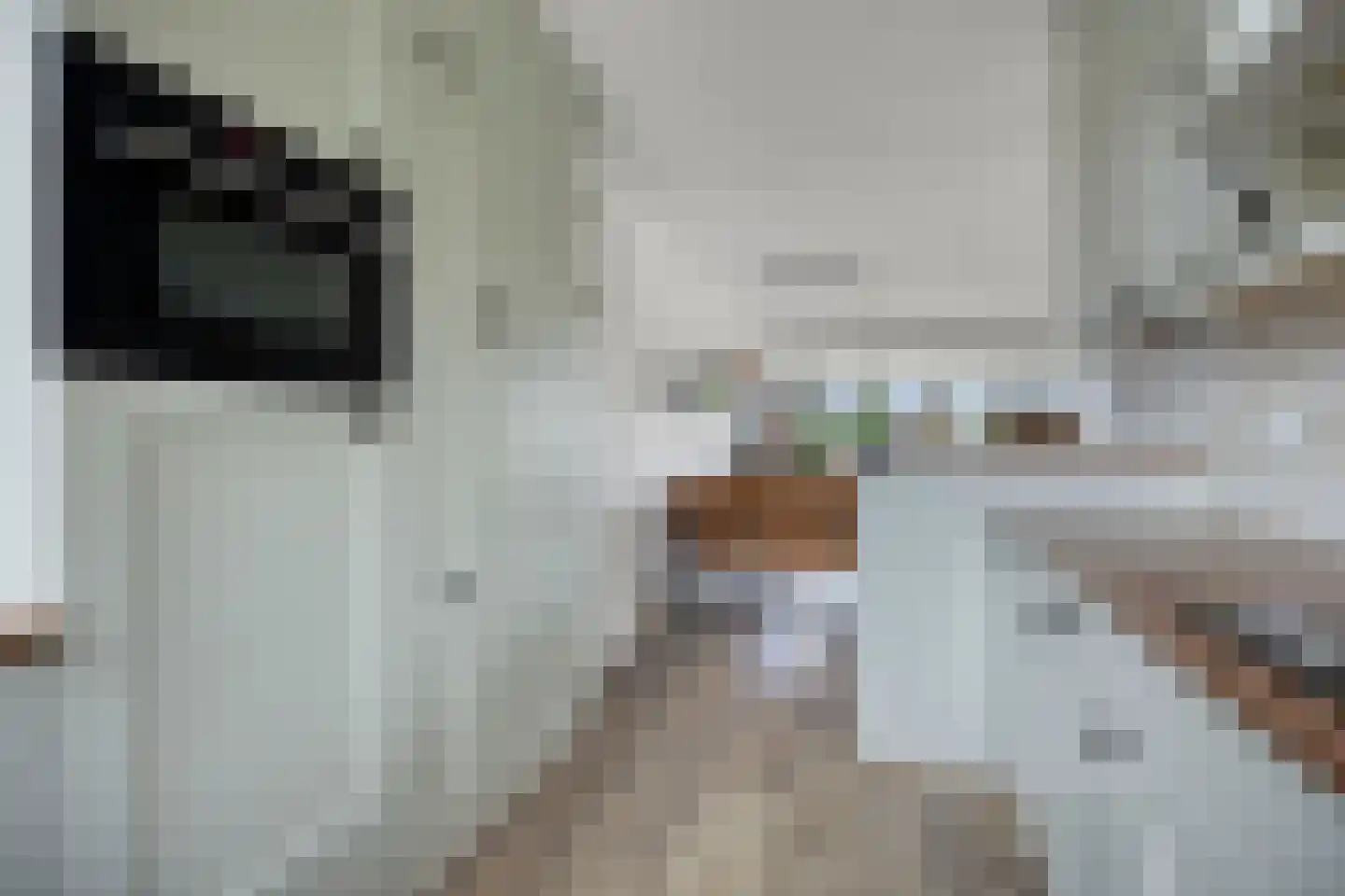 Tuinstraat 43 Krimpen aan de Lek thumbnail 12