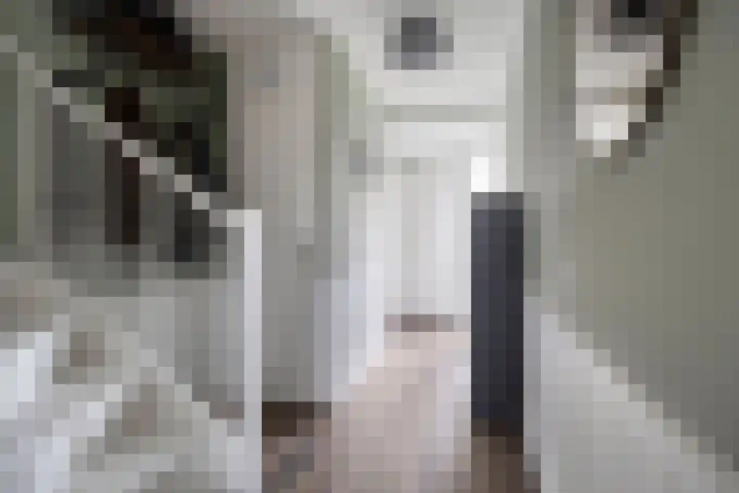 Tuinstraat 43 Krimpen aan de Lek thumbnail 13