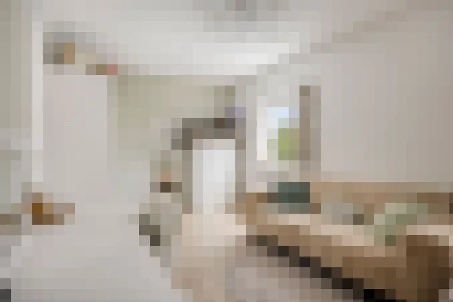 Tuinstraat 43 Krimpen aan de Lek thumbnail 18