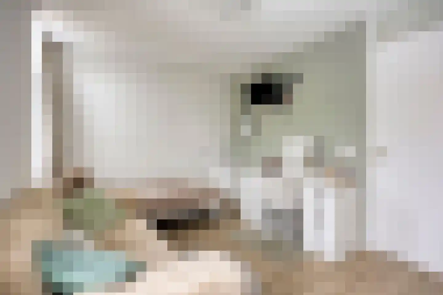 Tuinstraat 43 Krimpen aan de Lek thumbnail 19