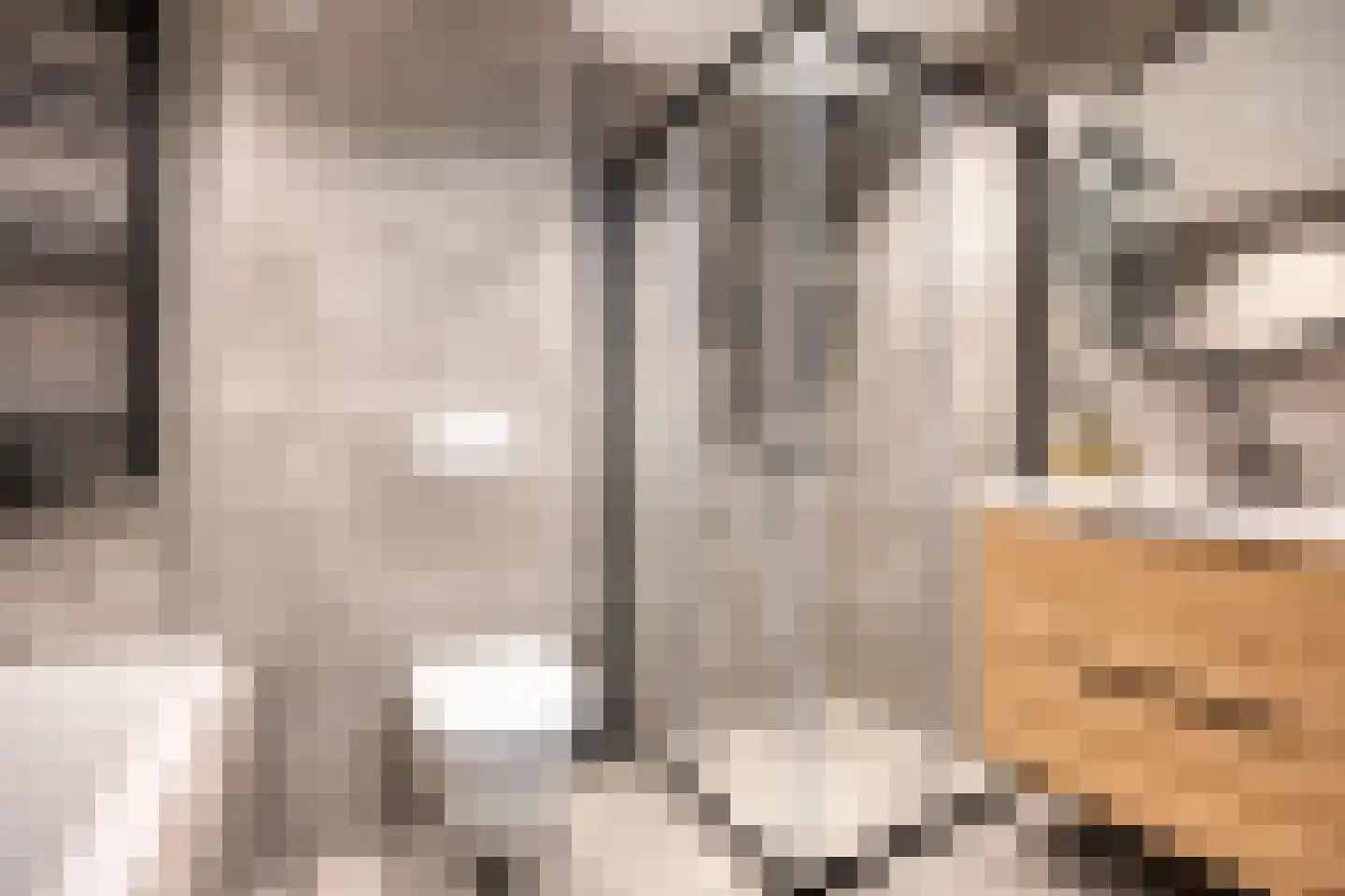 Tuinstraat 43 Krimpen aan de Lek thumbnail 20