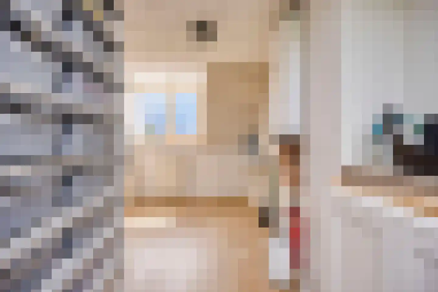 Tuinstraat 43 Krimpen aan de Lek thumbnail 24
