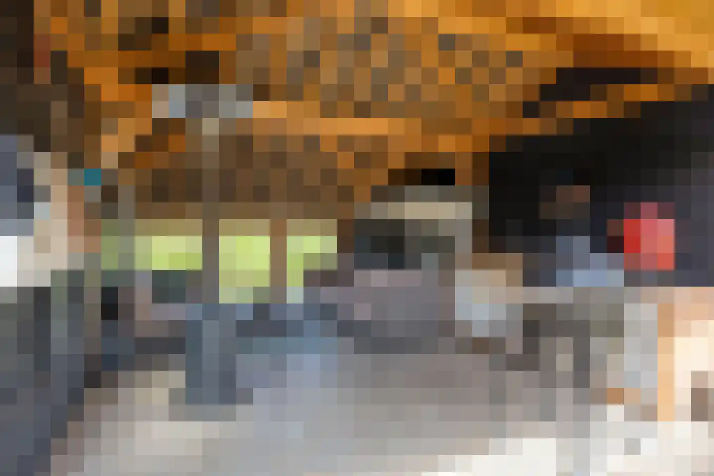 Tuinstraat 43 Krimpen aan de Lek thumbnail 28