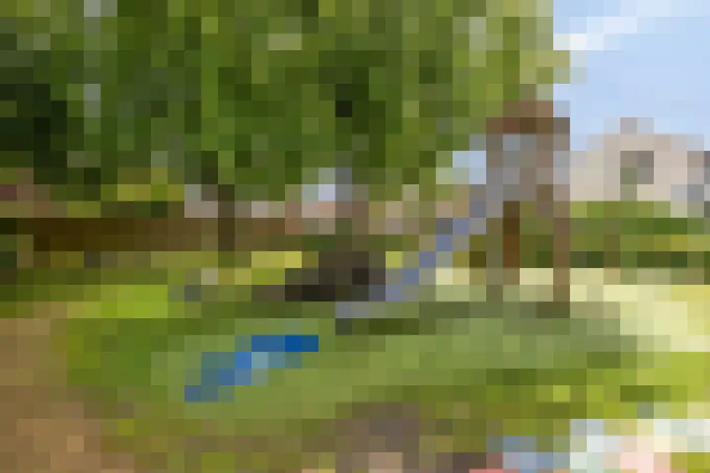 Tuinstraat 43 Krimpen aan de Lek thumbnail 34