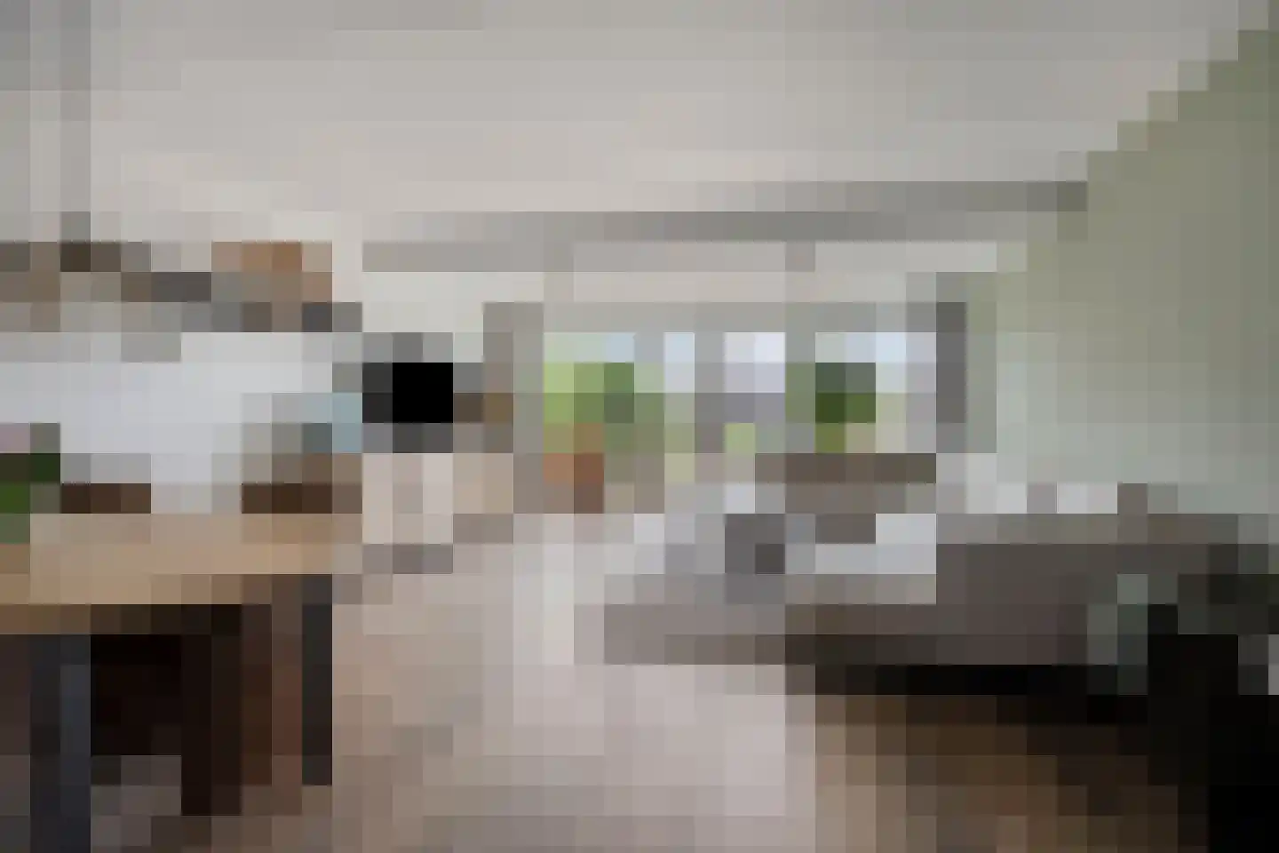 Tuinstraat 43 Krimpen aan de Lek thumbnail 4