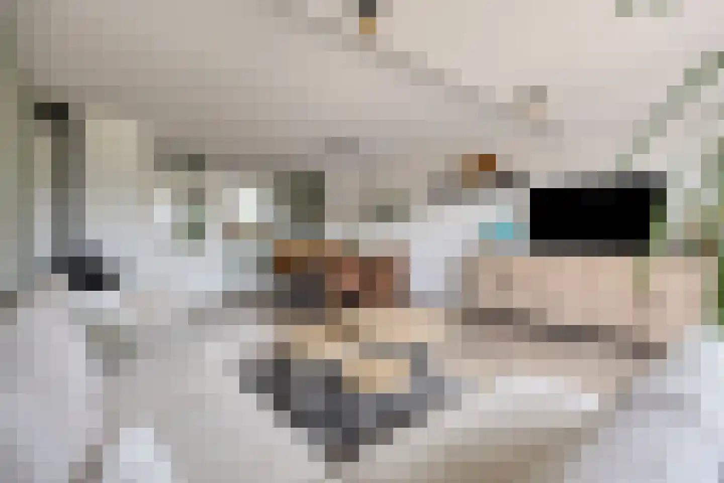 Tuinstraat 43 Krimpen aan de Lek thumbnail 6
