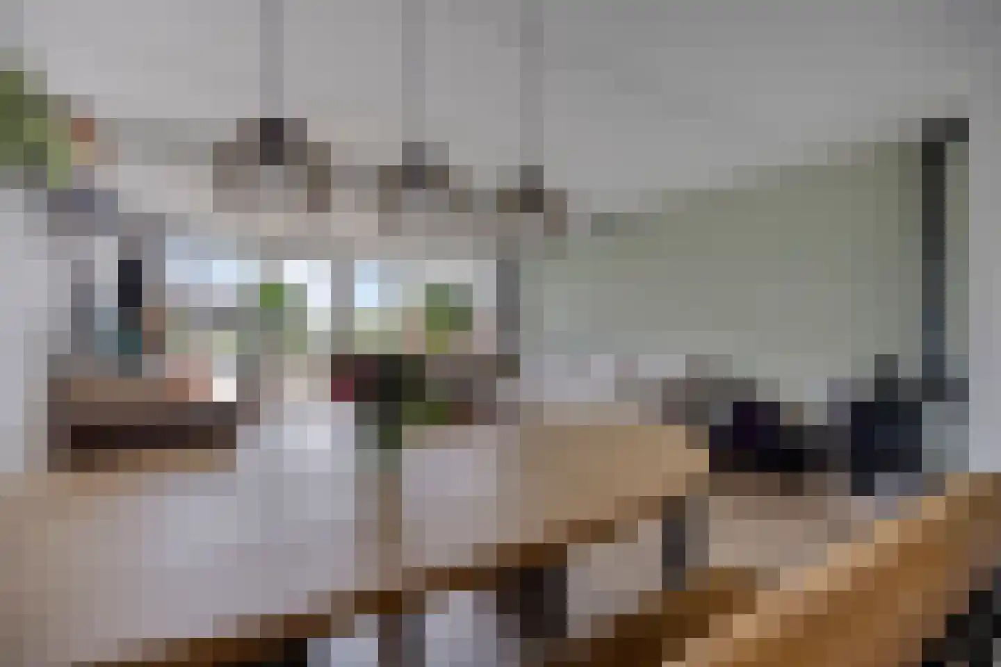 Tuinstraat 43 Krimpen aan de Lek thumbnail 8