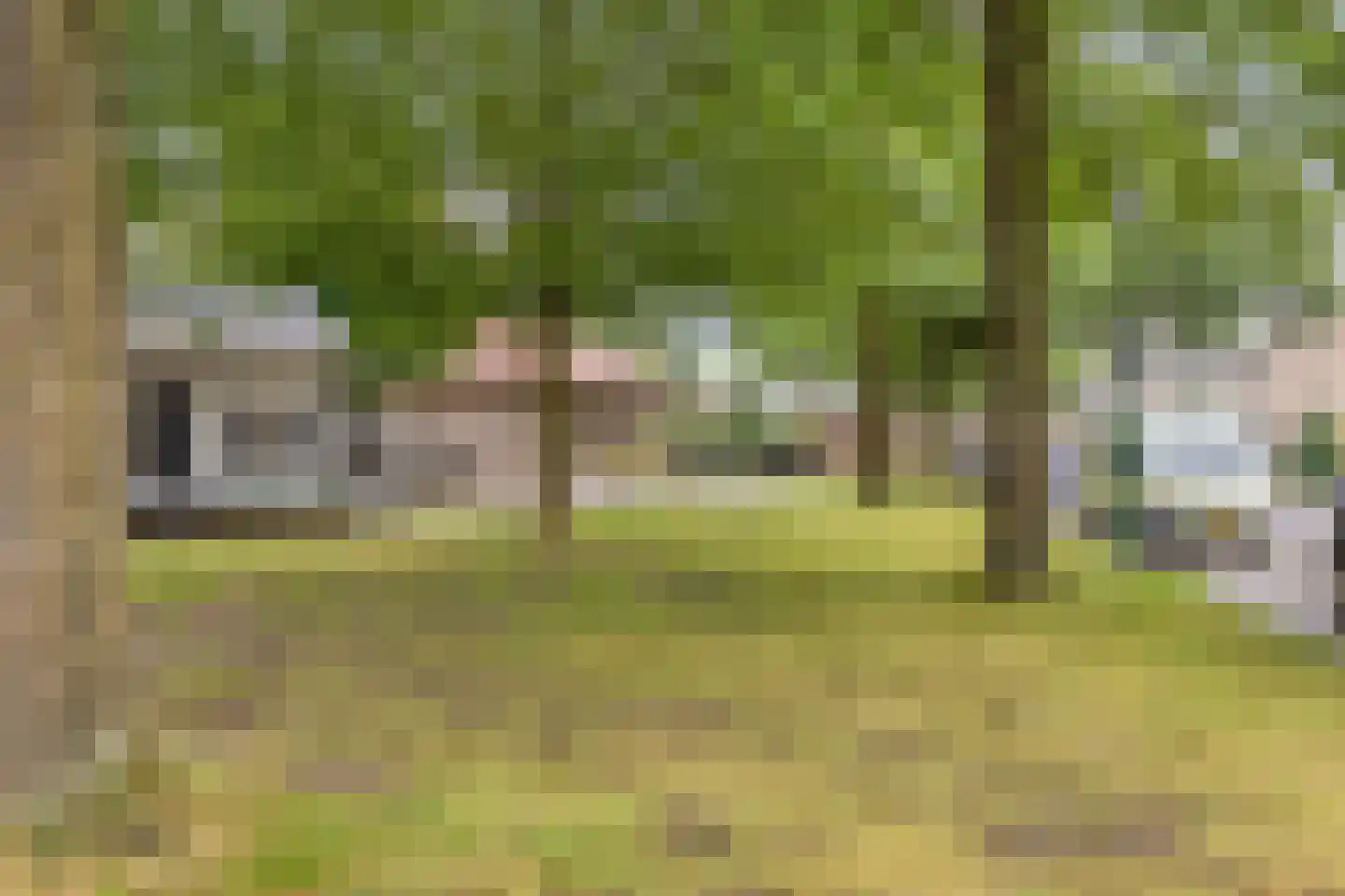 Tuinstraat 44 Loon op Zand thumbnail 36