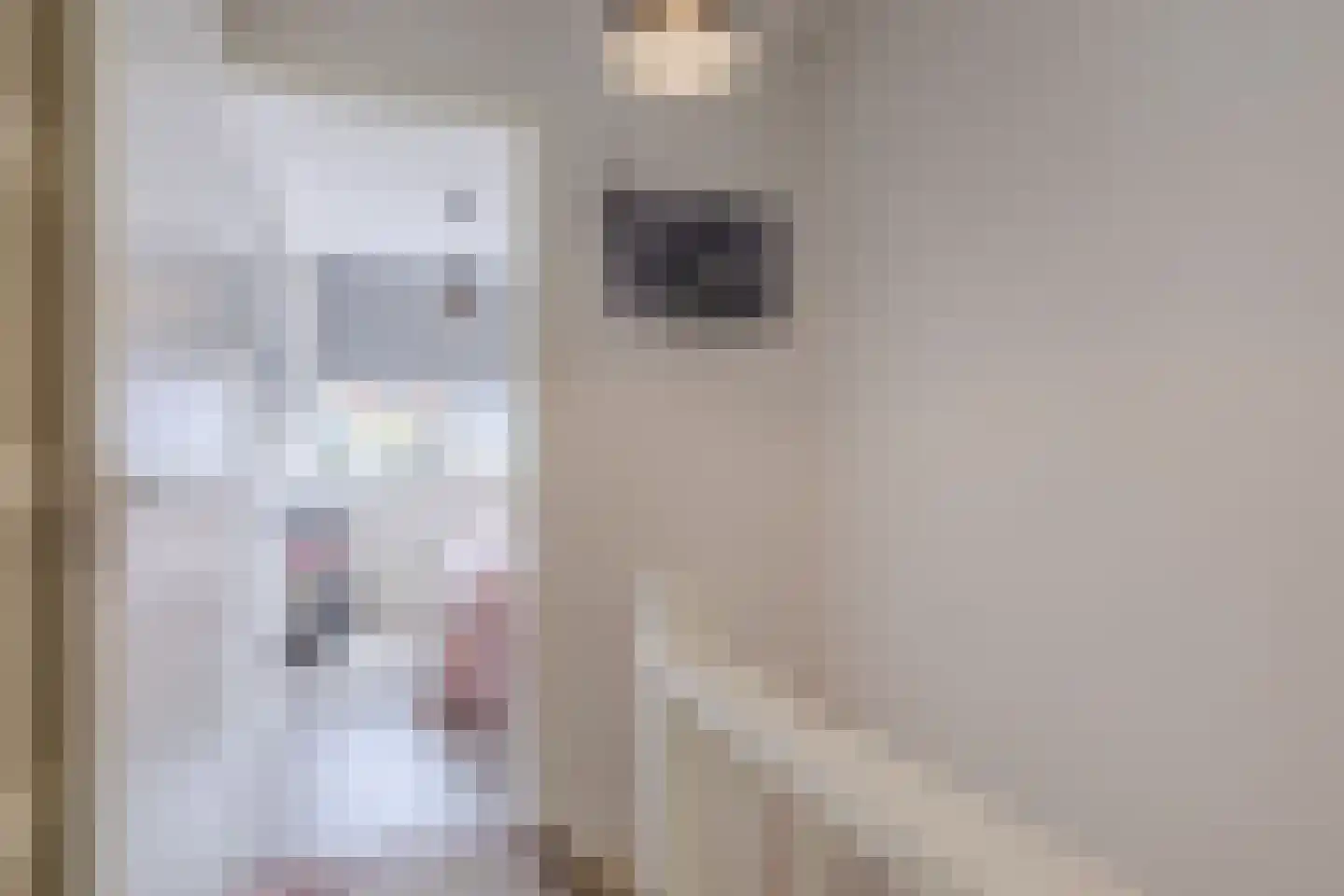 Tuinstraat 45 Zaandijk thumbnail 18