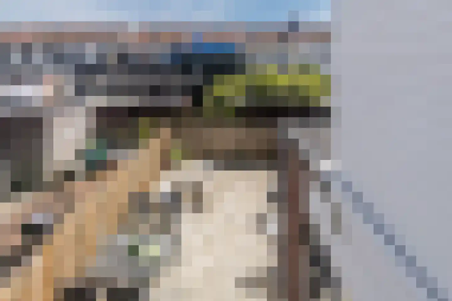 Tuinstraat 45 Zaandijk thumbnail 31