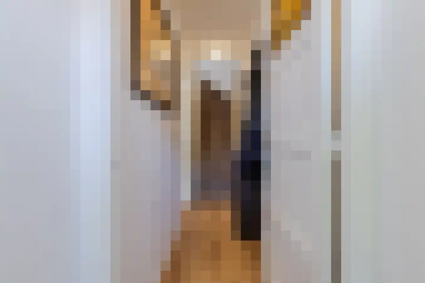 Tuinstraat 45 Zaandijk thumbnail 6