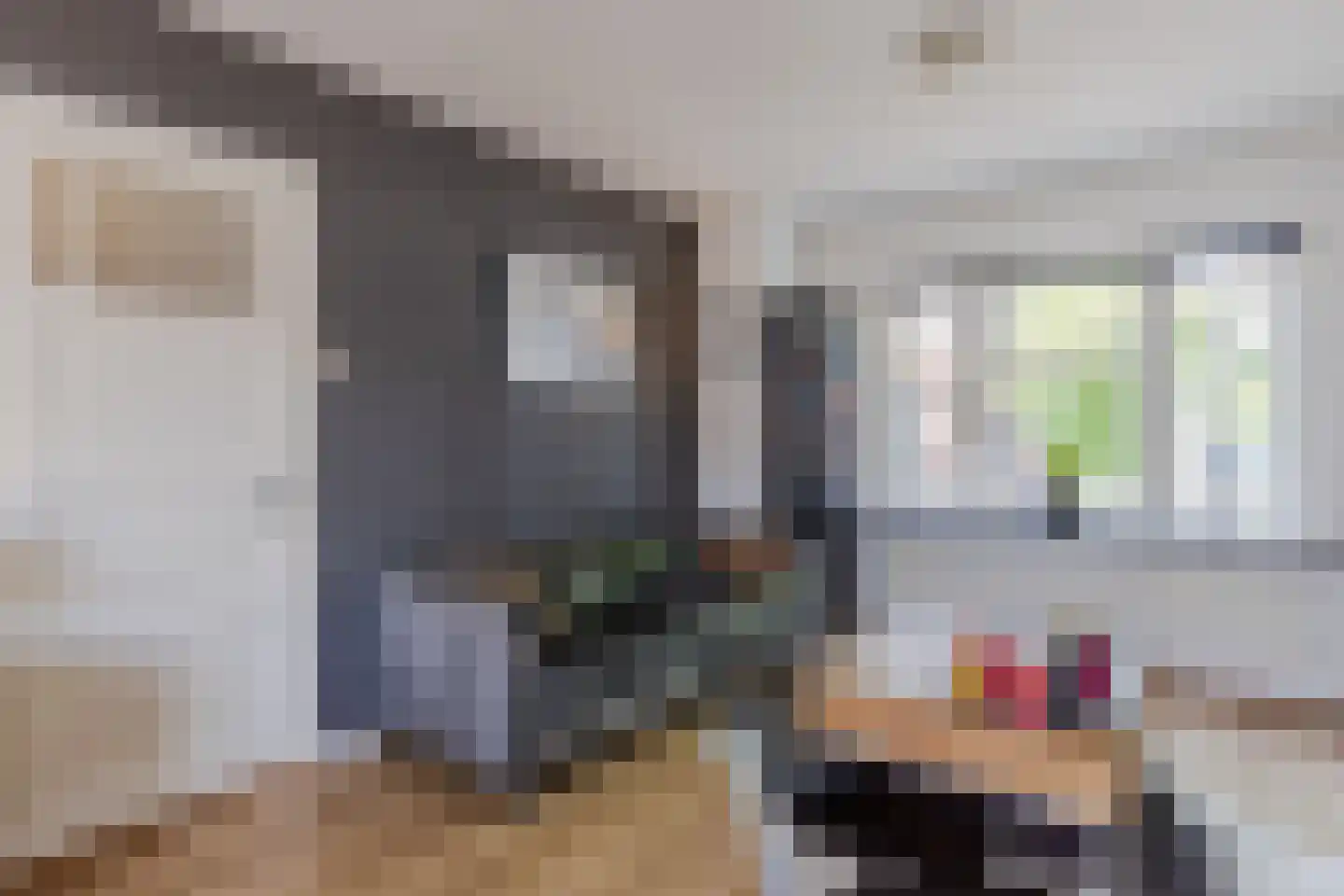 Tuinstraat 45 Zaandijk thumbnail 8