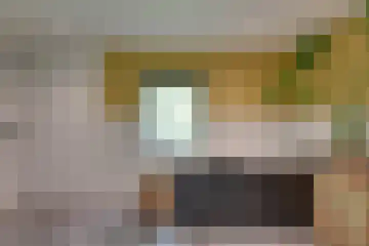 Tuinstraat 47 Zwaagdijk-Oost thumbnail 22