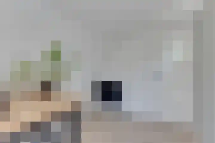 Tuinstraat 47 Zwaagdijk-Oost thumbnail 33
