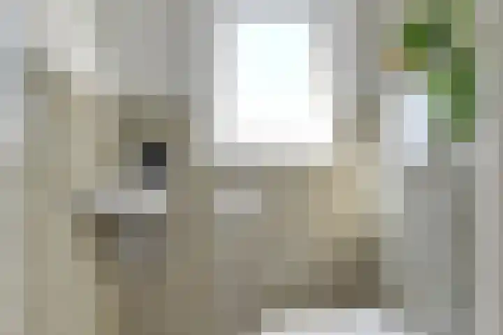 Tuinstraat 47 Zwaagdijk-Oost thumbnail 34