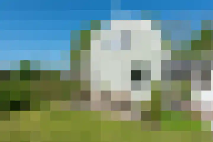 Tuinstraat 47 Zwaagdijk-Oost thumbnail 41