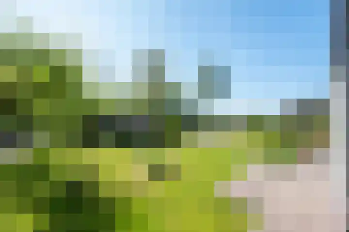 Tuinstraat 47 Zwaagdijk-Oost thumbnail 50