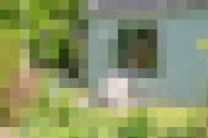 Tuinstraat 47 Zwaagdijk-Oost thumbnail 51